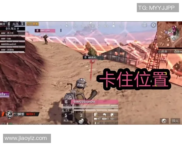 聚焦和平精英：WE战队个人能力的提升与团队协作分析